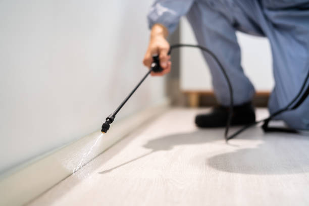 Bed Bug Pre-Treatment Preparation Assessment in Alva