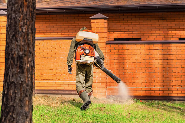 Bed Bug Clearance Verification and Documentation in Alva